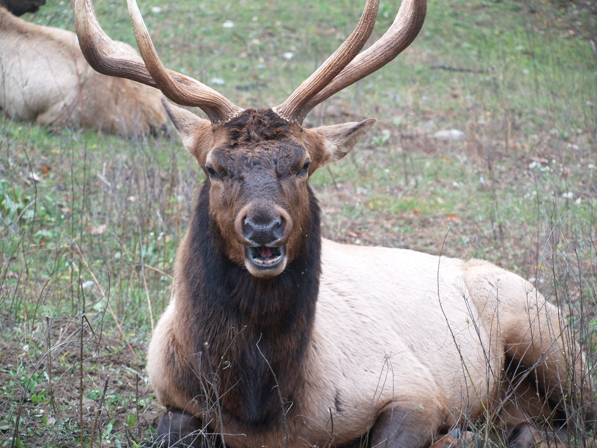 Gaylord Michigan tweet media