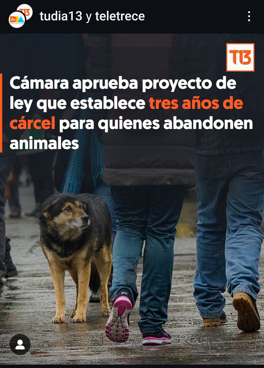 Ru_lif's tweet photo. 3 años es poco pero por algo se empieza.
El abandono no solo condena a muerte a un animal,sino que también si sobrevive y no está castrado, genera la sobrepoblación de animales abandonados con la consecuencias ya conocidas por todos.. #TenenciaResponsable #AdoptaCastraEsteriliza https://t.co/E3DYzDXxrx