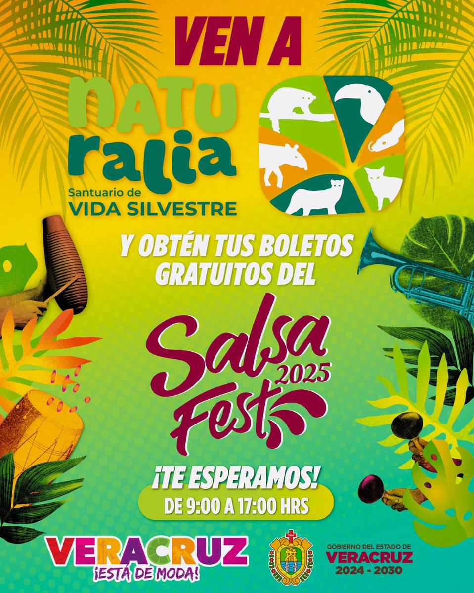Salsa Fest Veracruz tweet media