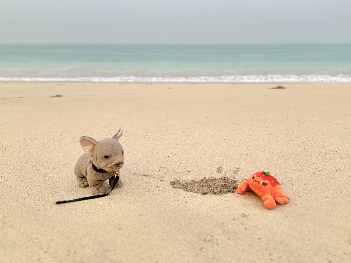 【🏝️Jan 2025】 #WalnutExp_Memories

The New Year, January 2025. I found daffodil shoots in the cold garden.
🐕🟢🩵 Then the Island Adventure began! 🏝️We were really enjoying the new place… but I got lost on the beach. Then, I met Cute Chili Crab…🦀

Thread for more…