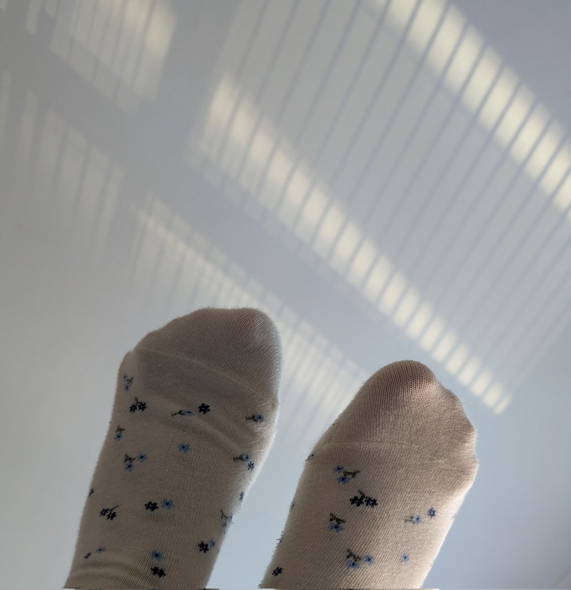 missmerit24's tweet photo. How long do you think I should wear these socks for? Oh wait...pay for them and then you might have a say 💸
#BuyMyWeirdStuff #UsedAndPriced #TrashForCash #CuratedClutter #FindomCommunity #FindomContent 
#FindomModel #FindomMarketing #FindomWorld https://t.co/aOeLSNcvWz