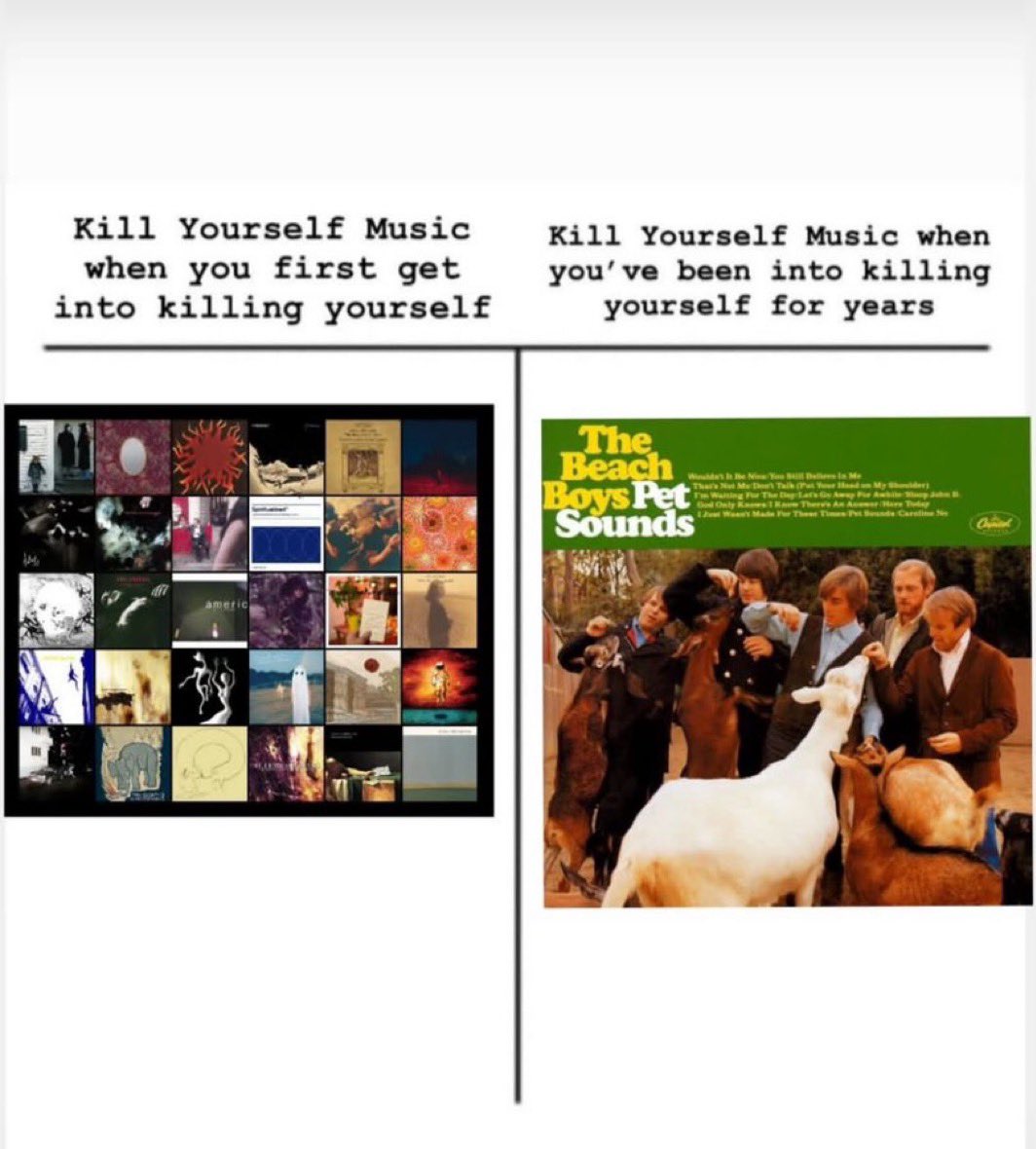 RIP Brian Wilson, Pet Sounds is one of the most important records of all time and one of the top 5 EVER at the very least. This sucks. Have a very important to me meme.
