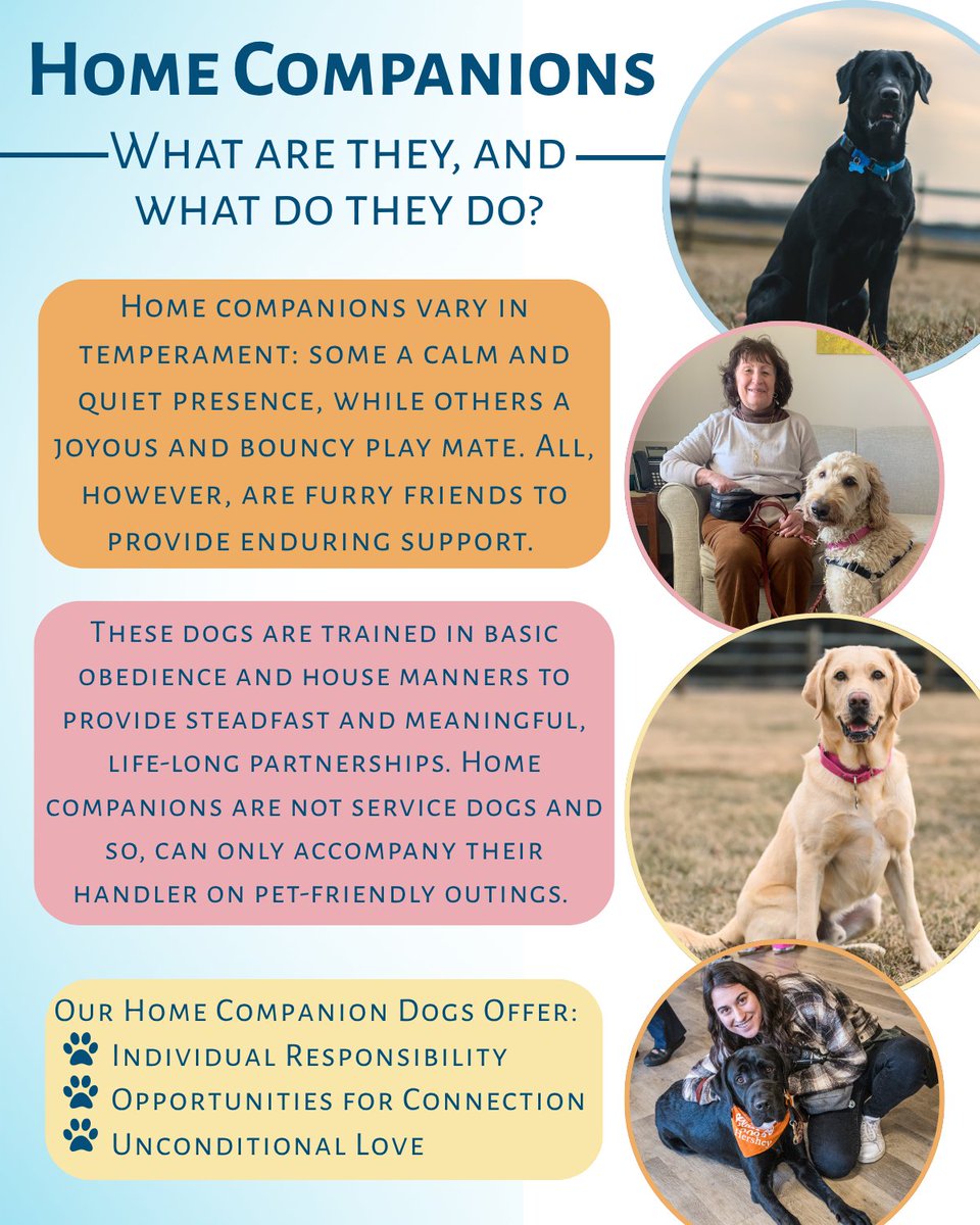 CPL’s Home Companion Dog program places well-trained companions with individuals with disabilities, or who are in other situations of need. Do you know someone who could benefit from being partnered with a Home Companion Dog? Visit: k94life.org/about-our-dogs… more information!