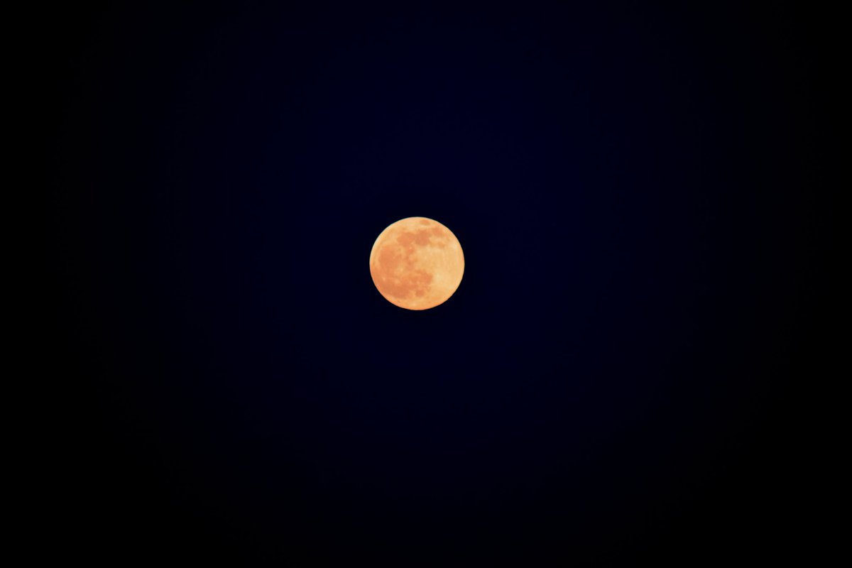 28MaaikeVogel09's tweet photo. #goedeavond 
Vandaag #11juni is #dag11 van #Junie initiatief van @bkfotobetsy 
Vandaag staat in het teken van de #Aardbeienmaan #LUNA 
Een van de weinige keren dat het mij gelukt is om een maan te fotograferen, weet alleen niet of dit een aarbeienmaan is.
#fijnewoensdagavond https://t.co/vKDpHheQit