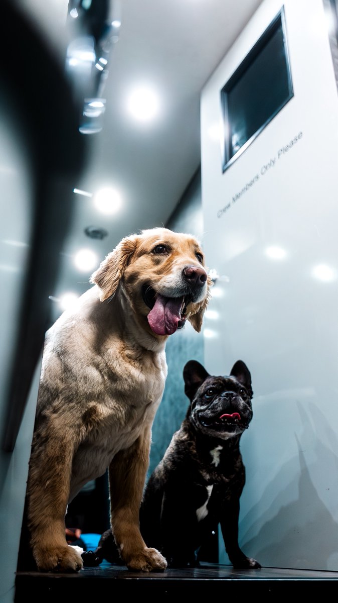 Team_FRM's tweet photo. The stars of the show 

@ZaneSmith | @mybenebone https://t.co/k9AA9CJeDf