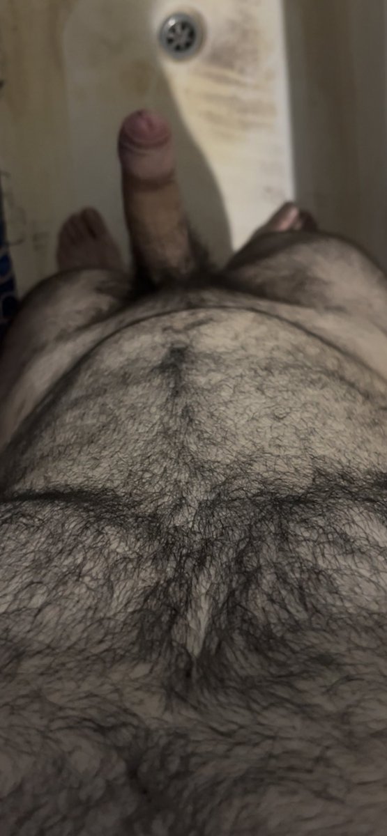 George 🐻 tweet media