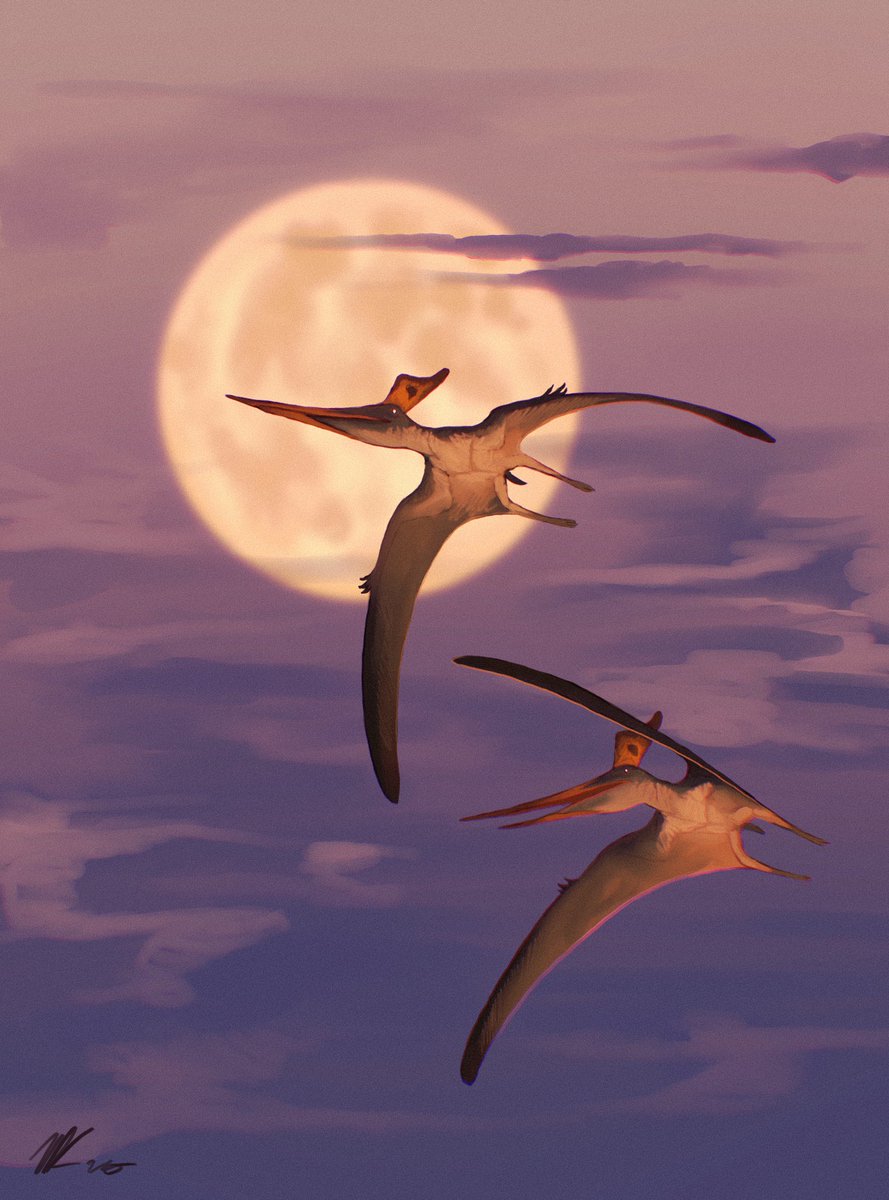 paleobug's tweet image. Do you ever think about how they saw the very same moon that we do