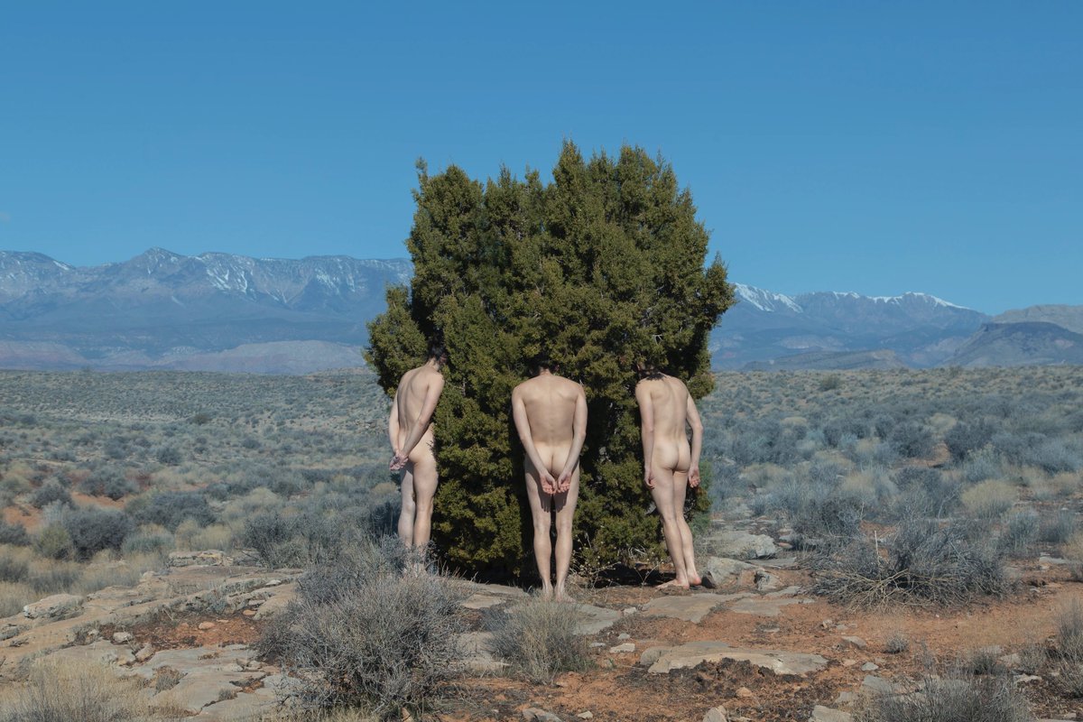 Ben Zank tweet media