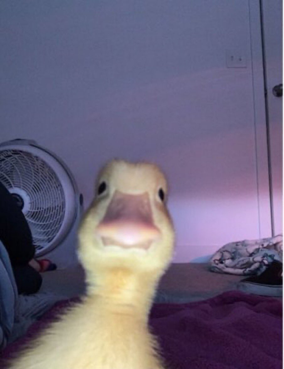 $harold 

Only just begun