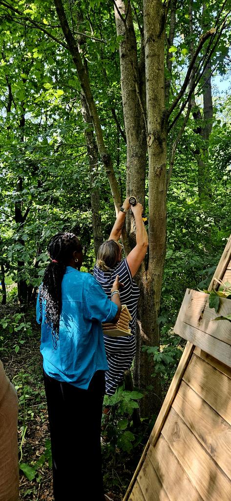 Fairy glade and bird hide underway!
Staff meeting tonight had a practical feel to it. Great team work!
Looking forward to launching Forest Schools alongside our OPAL work next year.
<a href="/CNicholson_Edu/">Craig Nicholson</a> <a href="/JessicaBF1980/">Jessica Foulds</a> <a href="/OPAL_CIC/">Outdoor Play and Learning (OPAL) CIC</a> <a href="/LiftSchools/">Lift Schools</a>