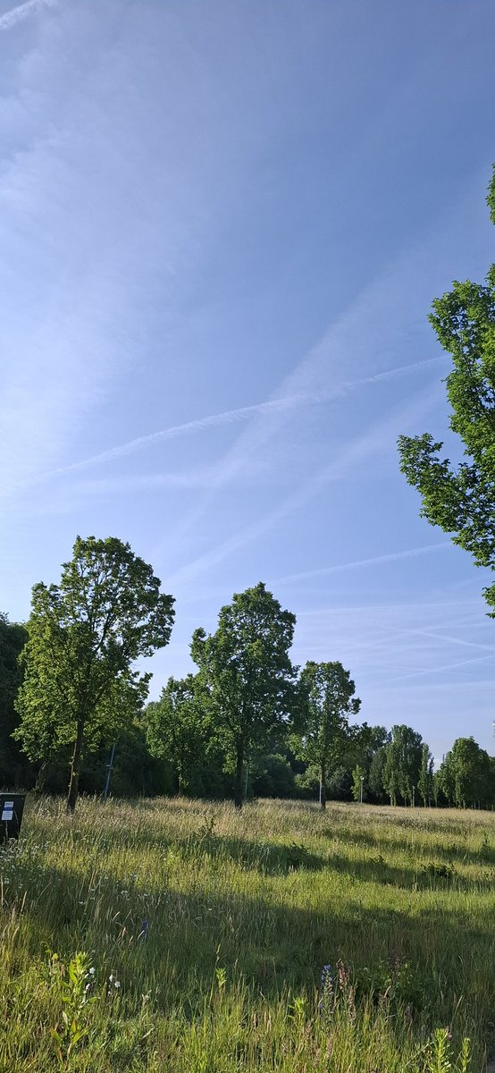 sandraenmichel's tweet photo. @SaskiaHeijden Haarlem rond 8.15 uur 😔 https://t.co/HidbkplFOP