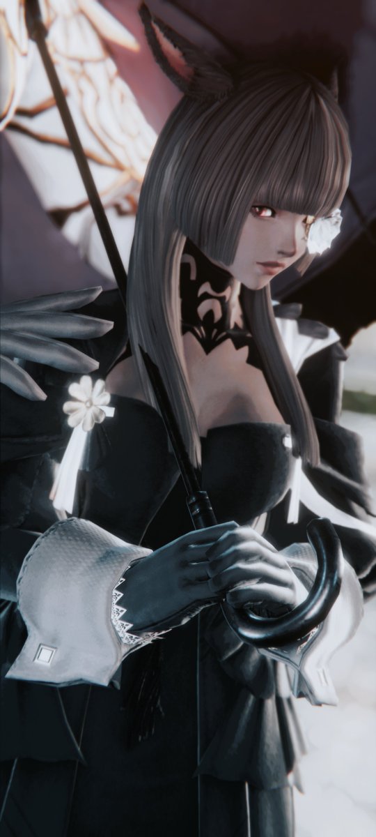 파판 언제부터 2인 감표 가능해진건가요?(p)