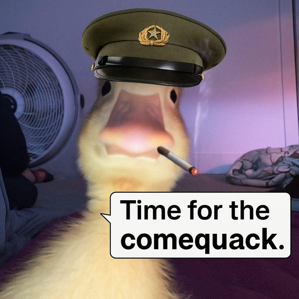 harold (@haroldtheduck_) on Twitter photo 