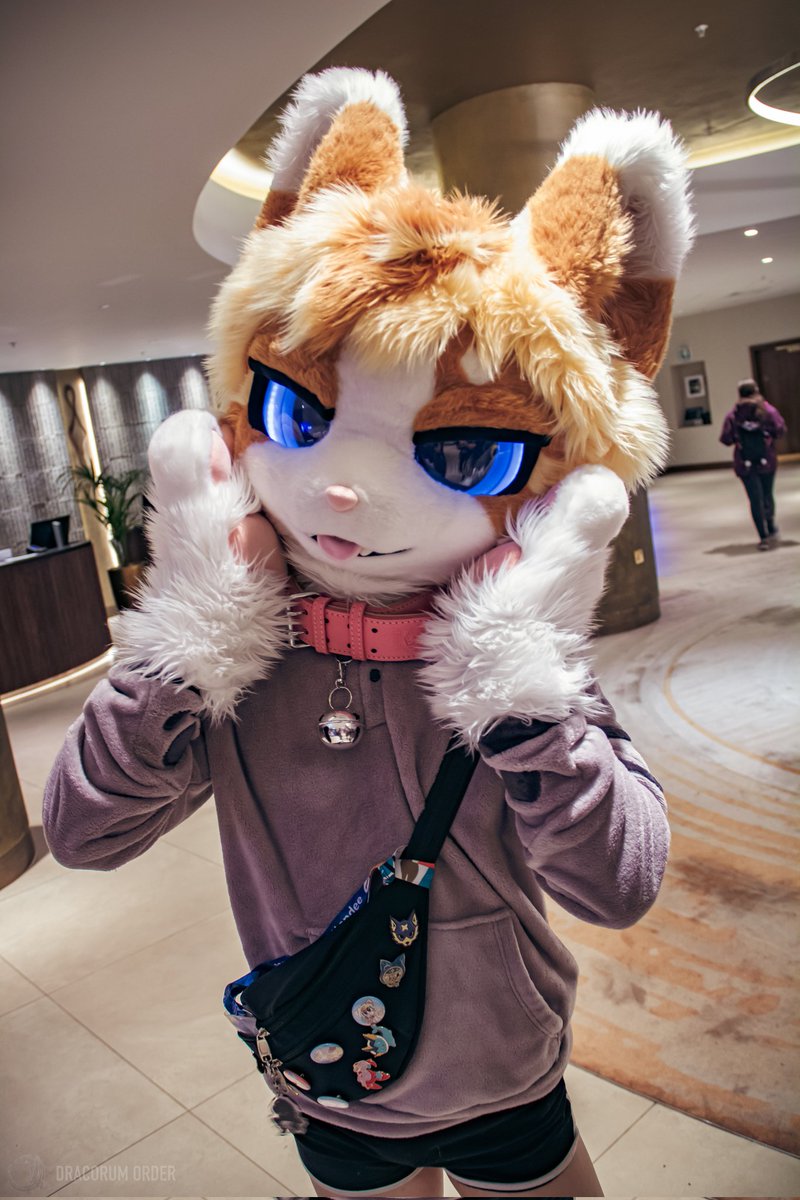 It's nyansday

📸: <a href="/DracorumOrder/">Dracorum Order 🧧</a>