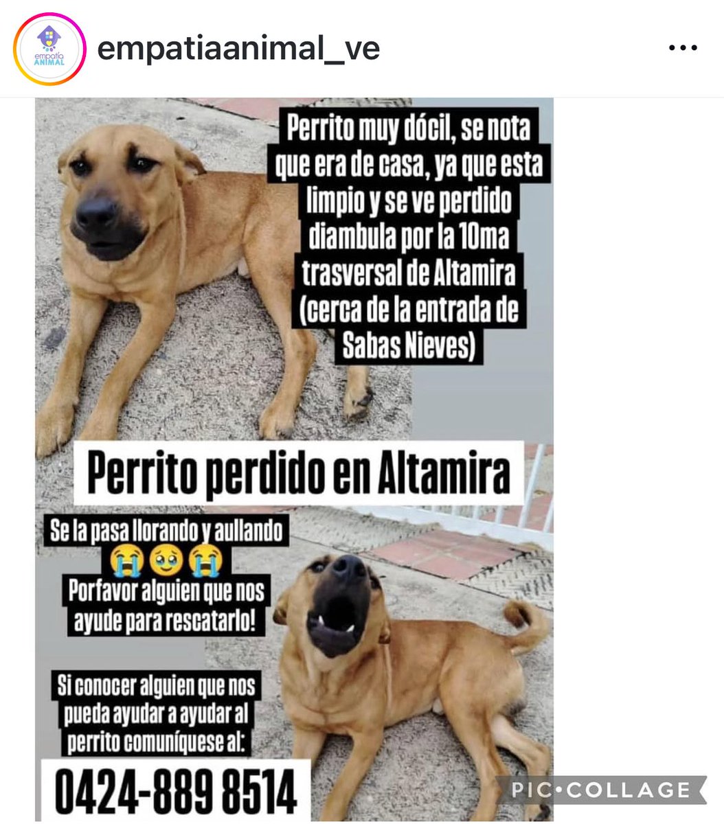 Rescata (@carmenzr04) on Twitter photo 