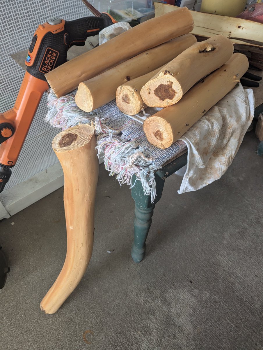 WizleHa's tweet photo. Wood!
Grandma is gonna cut a tree down so I'm taking advantage of it and getting myself wood that will totally 100% be made into wood carvings (statement may or may not be true) https://t.co/hvKsATXckI