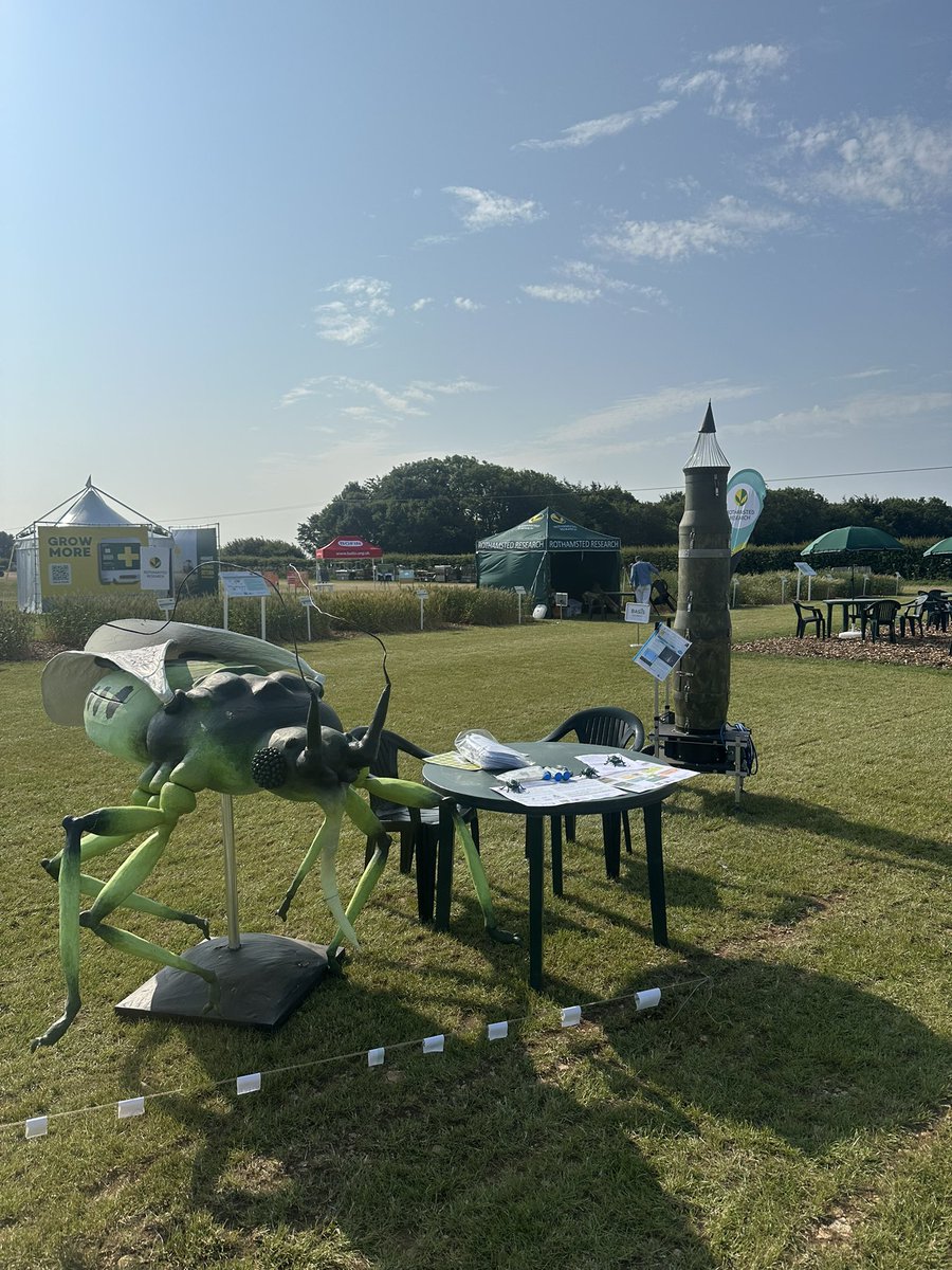 Alex Borg tweet media