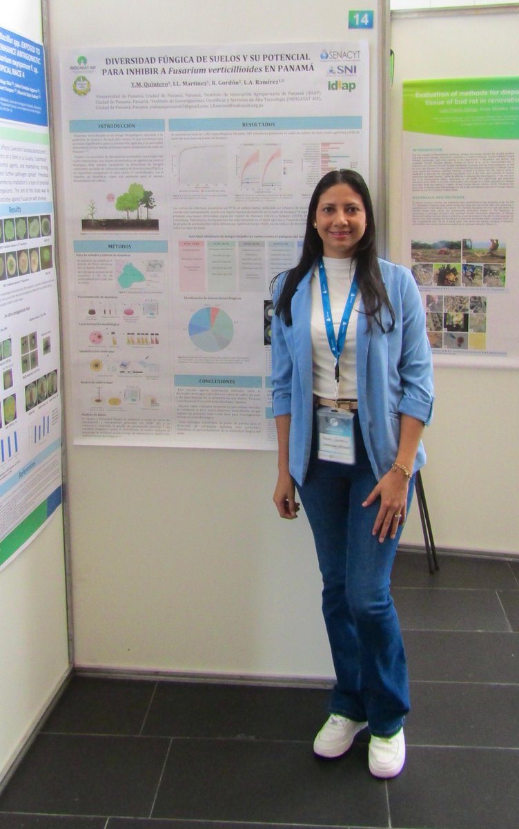 La Mgtr. Yulissa Quintero del lab. del Dr. Ramírez-Camejo presenta su investigación sobre diversidad fúngica en suelos en el IV Congreso de Fitopatología en Colombia. ¡Éxitos!
#microbiologiaambiental #fungipanama #fusarium #diversidad
