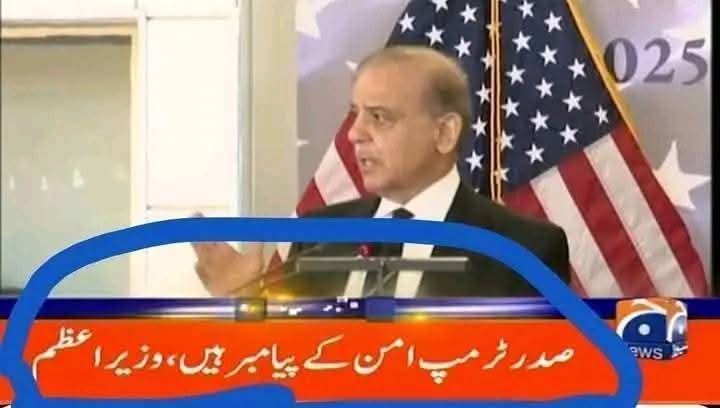 "ایک جملہ اس کے لیے؟"

#ShahbazSharif #DonaldTrump #ElonMusk