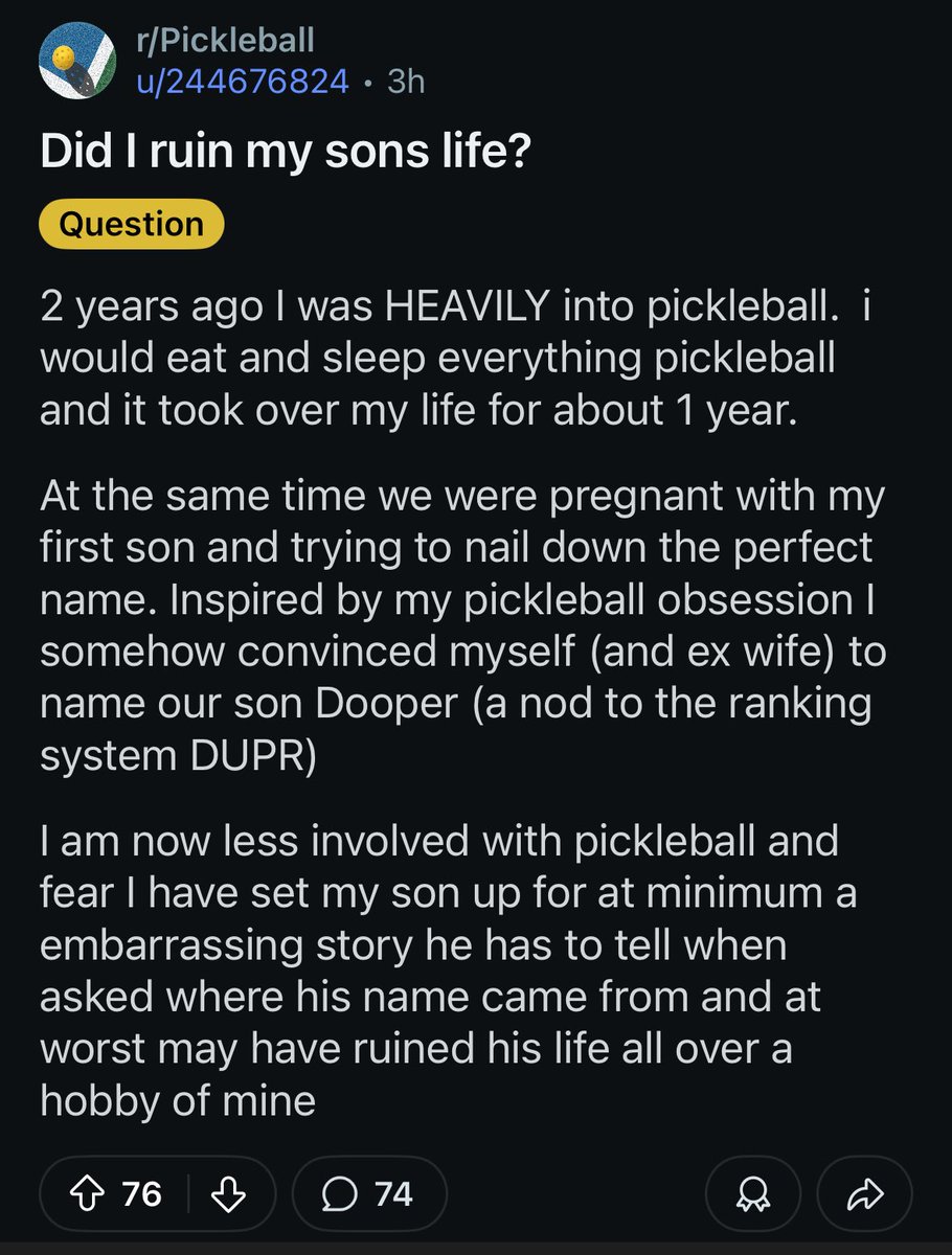 r/pickleball has hit new levels of unhinged