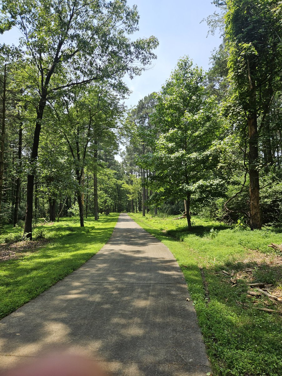 GoatTomatos's tweet photo. Great day for a walk https://t.co/4u7ZvvuEFt