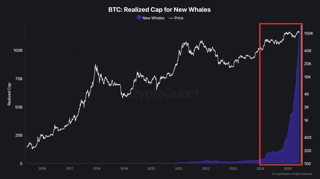 🚀 #Bitcoin’de fırladı! Yeni balinaların cüzdan hareketleri 2024’ten beri görülmemiş seviyelere çıktı. Çok mu geç, yoksa çok mu erken? Sizce fake hareket mi? Yorumlarınızı bekliyorum! 🐳📊 #BTC #KriptoPara #Yatırım