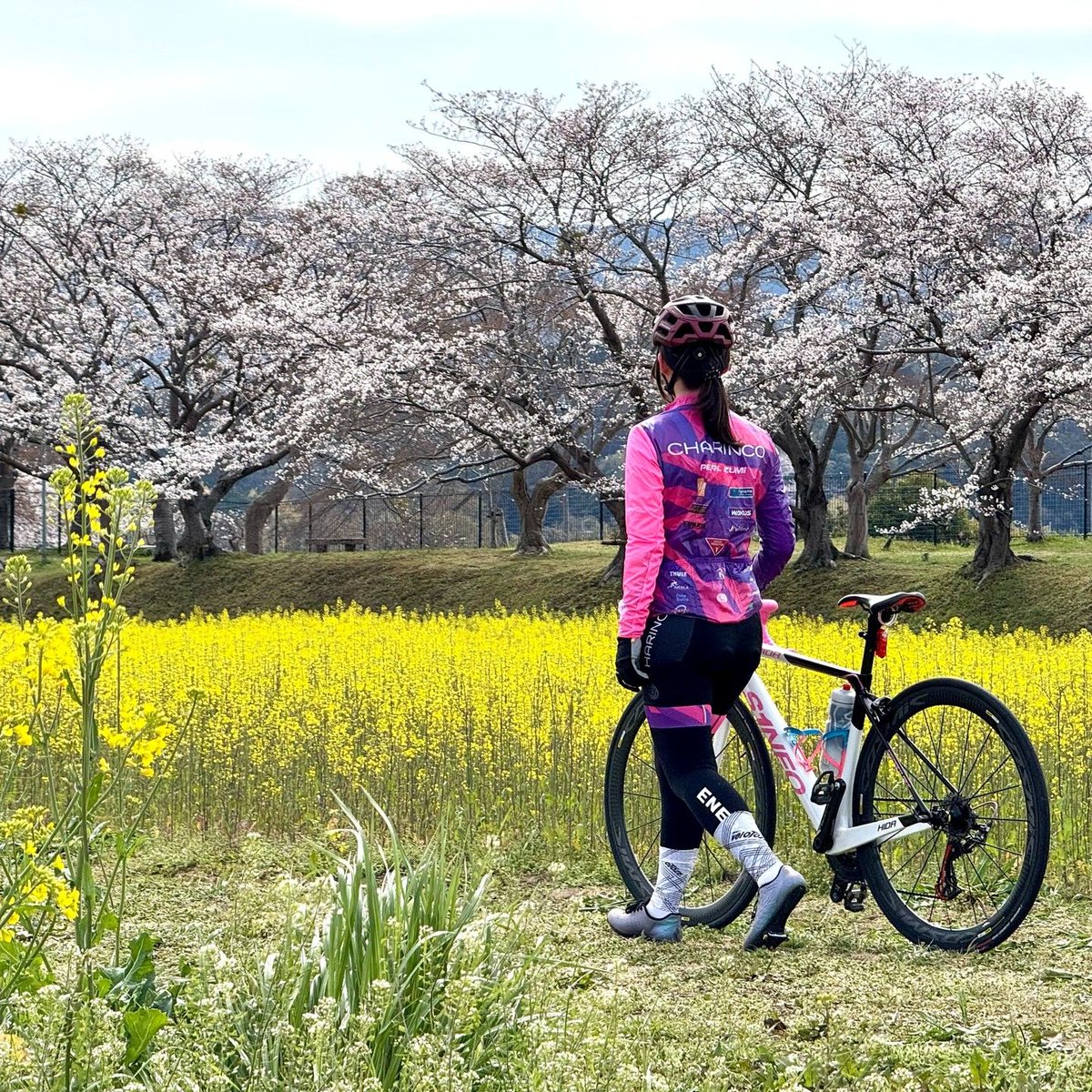 Cateye's SYNC Kinetic is a great solution for all-day exploration, with an approximately 30 hour run time in Daytime HyperFlash mode! Get out, smell the flowers, see the sights, and stay safe!
📸: @charinco_official
#cateyelights #bikelights #gobybike #madeinjapan #bikesafety