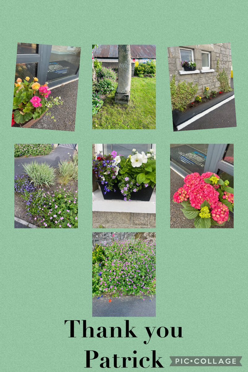 Thanks to our brilliant caretaker Patrick O’Neill . He has our school grounds looking better then ever 🌼🪻🌷🌳
