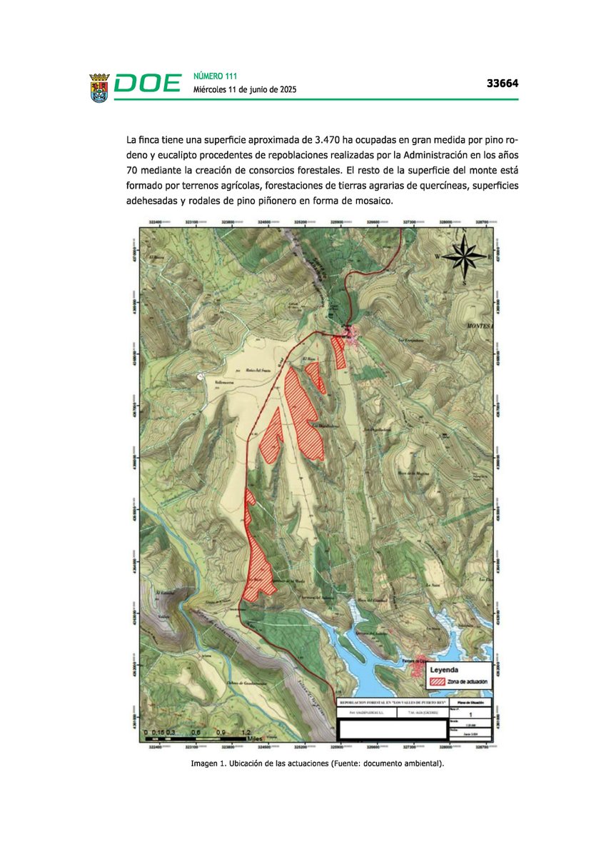 La sinrazón se viste de verde para que parezca lo que no es. Pretendiendo “compensar las emisiones de dióxido de carbono” se autoriza la plantación de 101.100 eucaliptos.

biodiversidad; vegetación y fauna; incendios forestales; degradación del suelo.

doe.juntaex.es/pdfs/doe/2025/…