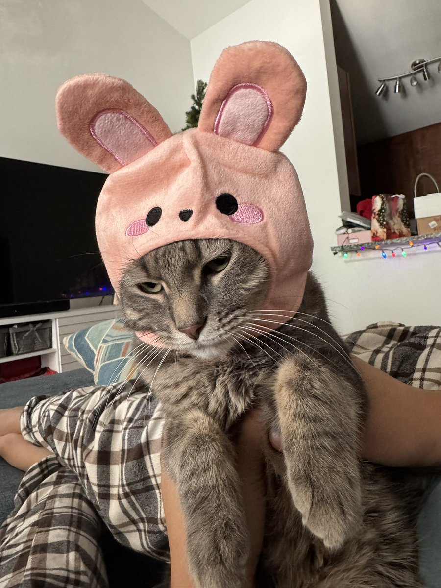 🌺 h a w a s tweet media