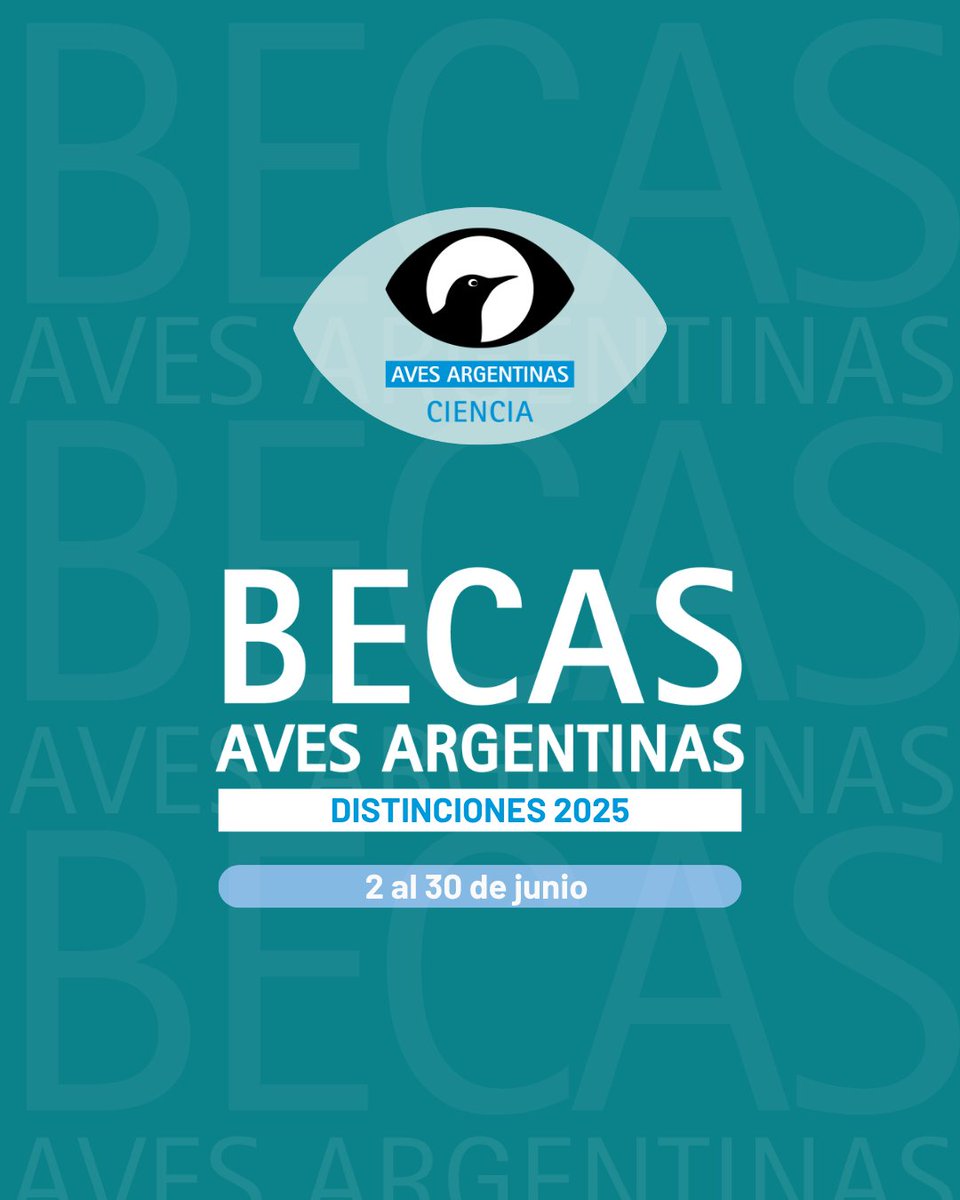 Departamento Científico · Aves Argentinas (@cienciaaves) on Twitter photo ¡Te invitamos a postular a las Becas Aves Argentinas <a href="/AvesArgentinas/">Aves Argentinas</a> !
avesargentinas.org.ar/becas ¡Te invitamos a postular a las Becas Aves Argentinas <a href="/AvesArgentinas/">Aves Argentinas</a> !
avesargentinas.org.ar/becas
