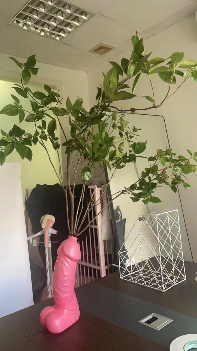 買一個這個花瓶放辦公室怎樣？🤣 https://t.co/eUtRQyDgbZ