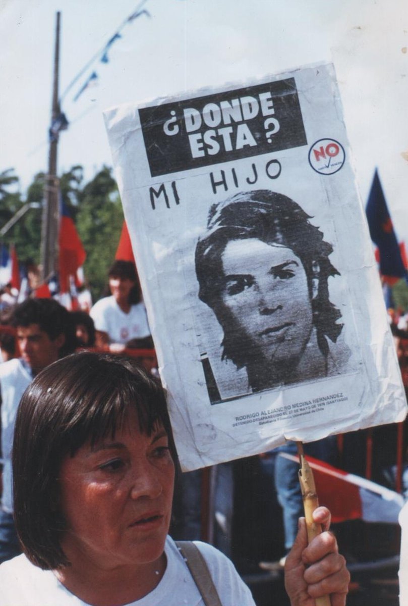 11 de junio de 1976, Malva Hernández presentó ante el 4º Juzgado del Crimen de Santiago una denuncia por presunta desgracia de su hijo Rodrigo Medina, estudiante de Filosofía en la Universidad de Chile, militante del MIR, detenido y desaparecido por la
DINA el 27 de mayo de 1976