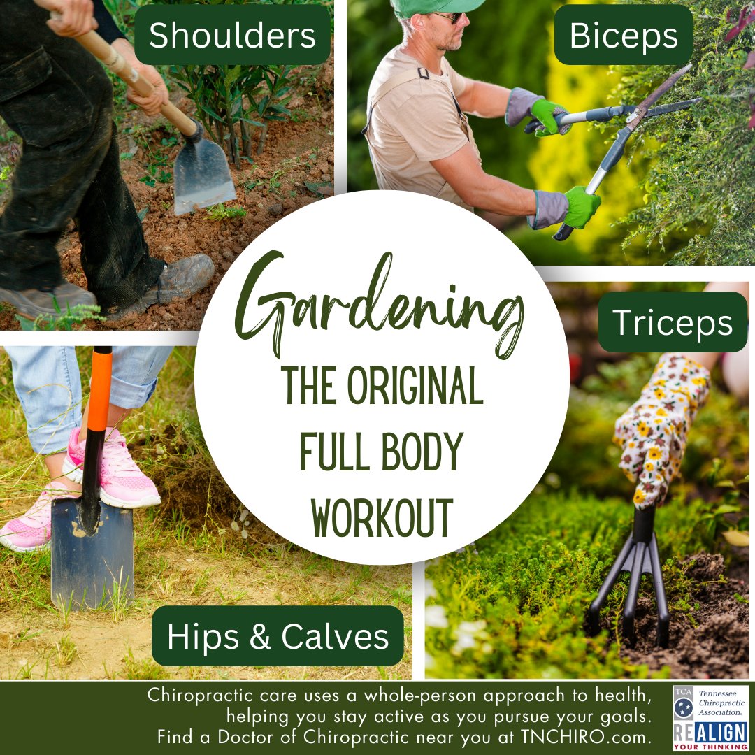 🌱  As you are cultivating &amp; harvesting those delicious fresh veggies, remember that gardening can be a real workout.  Don’t overdo it! Pace yourself, use tools properly, &amp; listen to your body.  If you have an ache or injury, try #Chiropractic1st.  #poweredbychiropractic