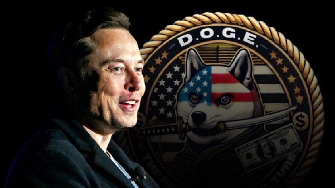 DogeDesigner tweet media