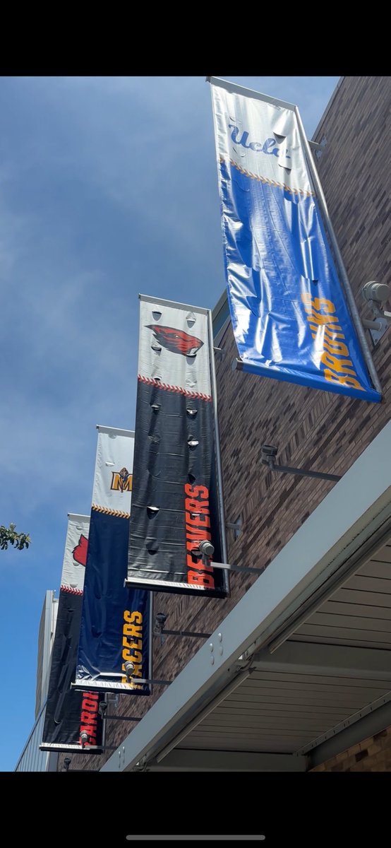 Lauren Michelson (@laurenmichelson) on Twitter photo Team arrival day here in Omaha! 7 of the 8 teams arriving ahead of the MCWS. ⚾️
Catch the interviews at 6/10 on <a href="/KETV/">KETV NewsWatch 7</a> #CollegeWorldSeries #RoadToOmaha Team arrival day here in Omaha! 7 of the 8 teams arriving ahead of the MCWS. ⚾️
Catch the interviews at 6/10 on <a href="/KETV/">KETV NewsWatch 7</a> #CollegeWorldSeries #RoadToOmaha