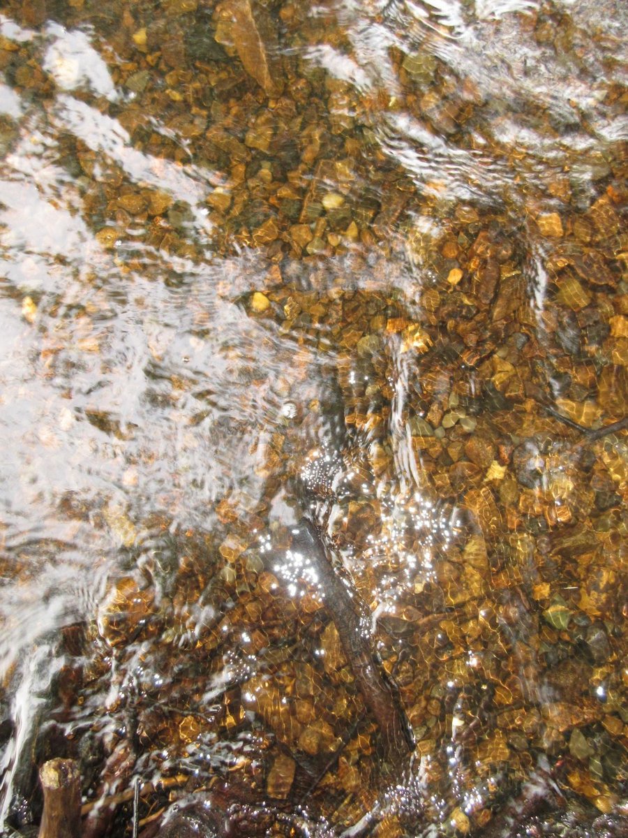 NeuKelte's tweet image. #LegendaryWednesday #WyrdWednesday: `#Despite the warning, #Conan mac Morna, the jester of the Fianna, broke the thigh of an old witch the Fians had killed.
1/4