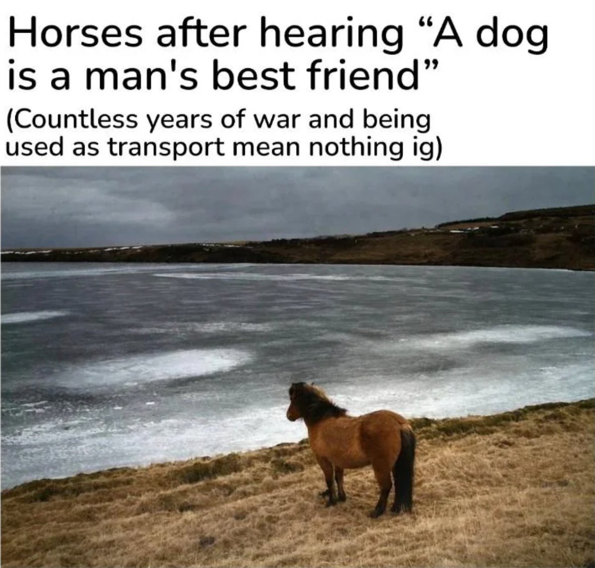 Subhashree Sahu tweet media