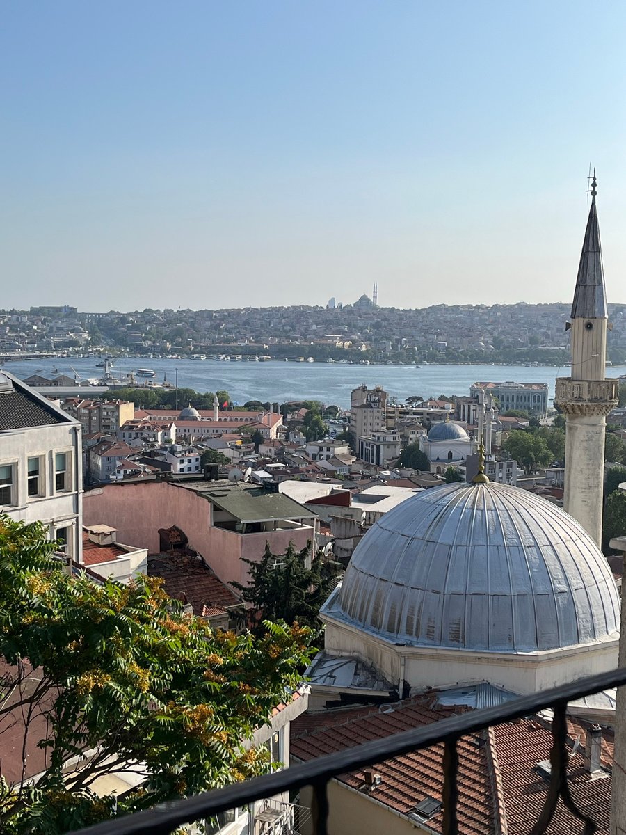Back in Istanbul for a summer of figuring out next steps, writing a lot, watching the US go down TR's path.  

Good news to share this time. My article on cooking shows as conservative gender edutainment was accepted at Politics &amp; Gender.   

MasterChef Türkiye başlasın artık!