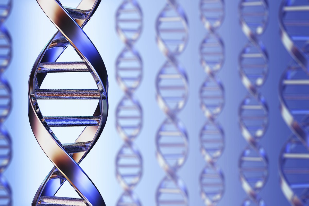GTCSE's tweet image. How about more news from IPDPS 2025?
CSE researchers presented work on ParSGA, the first parallel algorithm for the sequence-to-graph alignment problem. The new algorithm helps analyze genome collections, thus study genetic diversity within a species!
itshelenxu.github.io/files/papers/a…