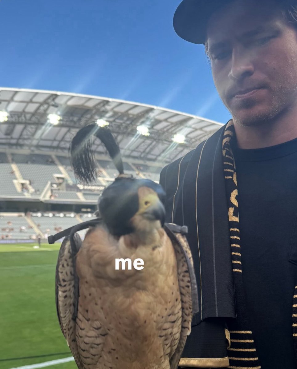 What’s a hawk to a goat
