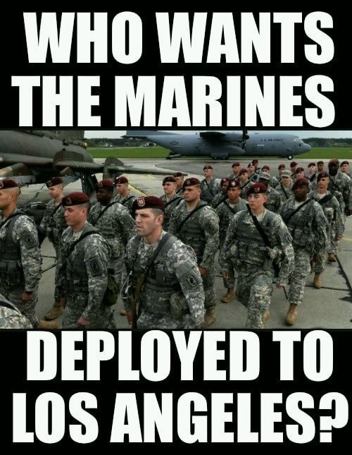 Do you want the United States Marines deployed to Los Angeles to stop the rioting? 

A. Yes
B.  No