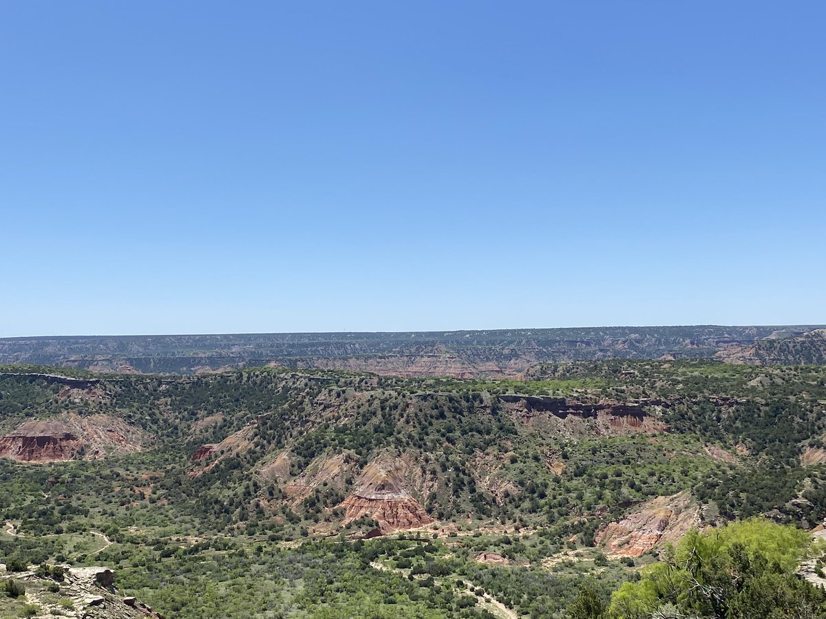 Our backyard!