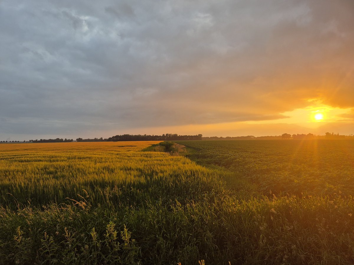 Gert Sterenborg (@gertsterenborg) on Twitter photo 