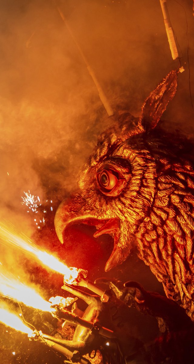 smfotografies tweet media