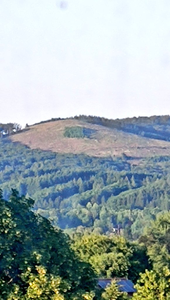 Habe den Fritze Merz Hügel entdeckt