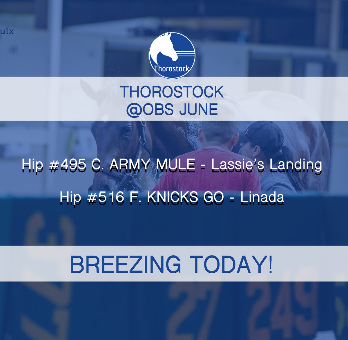 Two more breezers today <a href="/OBSSales/">OBSSales</a> June:
🔵 Hip #495 - bit.ly/TSOBSJUNE495
🔵 Hip #516 - it.ly/TSOBSJUNE516
#StockUp #OBSJune