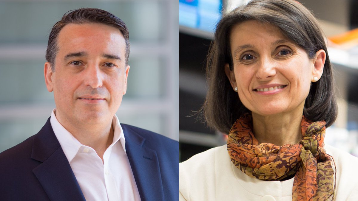 In a new study, Evripidis Gavathiotis, Ph.D., and Ana Maria Cuervo, M.D., Ph.D., have identified the NCoR1/RARα protein complex as a regulator of CMA in #lungcancer. The work opens the door for targeted CMA inhibition across a range of cancers. More at bit.ly/4l0O4ej.