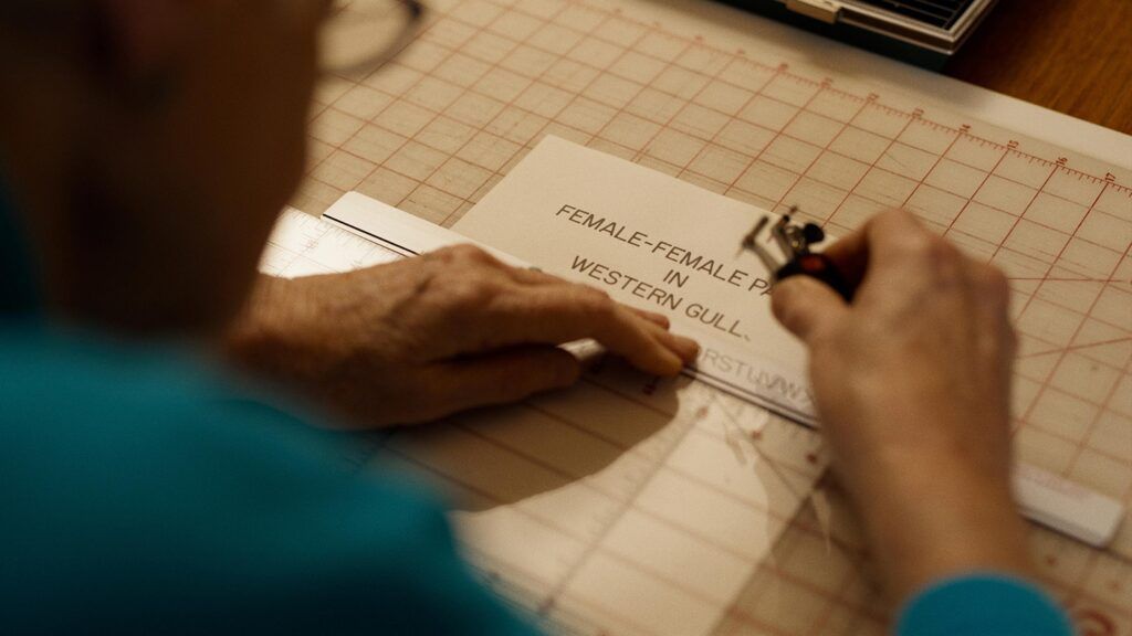 Ott House Audio tweet media