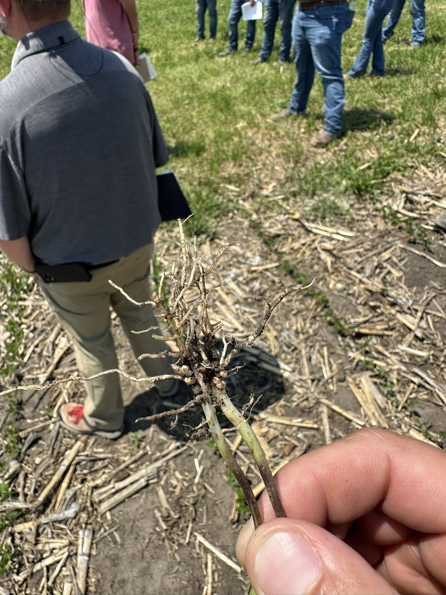 Dyna-Gro Seed, Cornbelt East tweet media